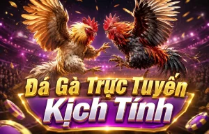 Giao diện sảnh Đá Gà VIN88MB với bố cục trận live và VIP 7 tầng